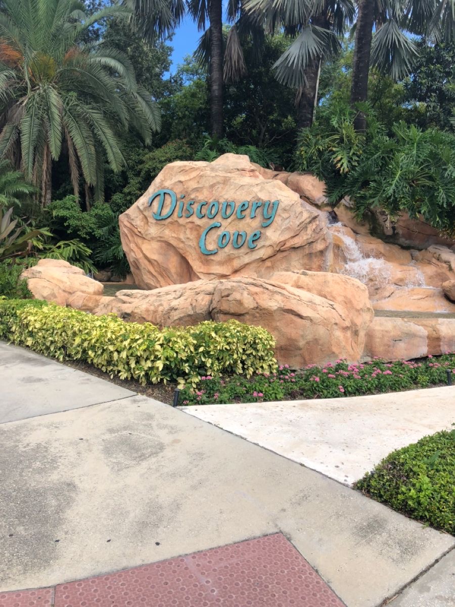 Discovery Cove em Orlando: o parque mais exclusivo (e diferente) da sua viagem