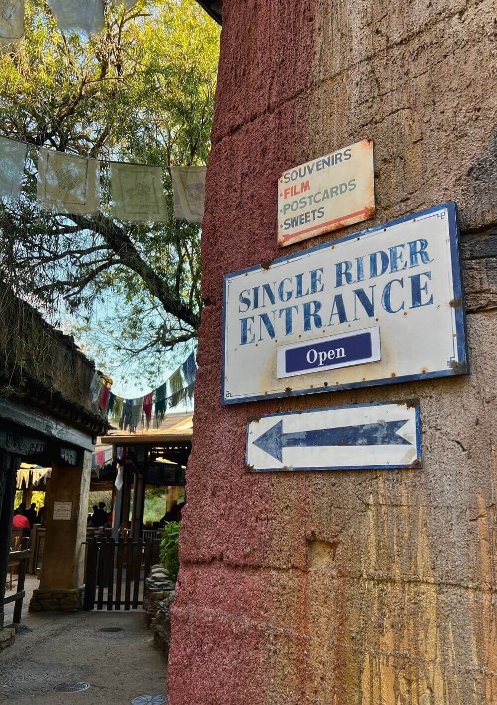 Como Economizar Tempo em Orlando com a Fila Single Rider